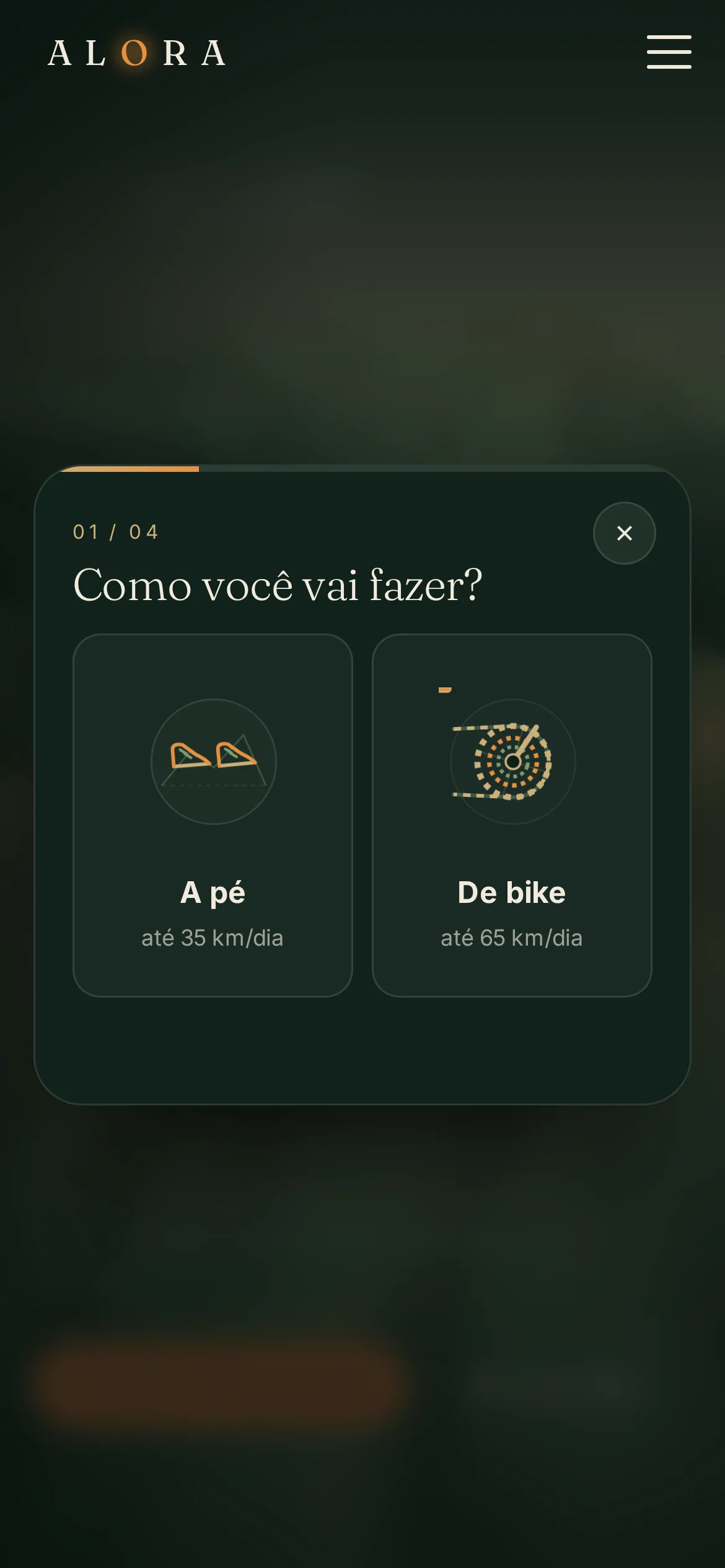 Onboarding no mobile
